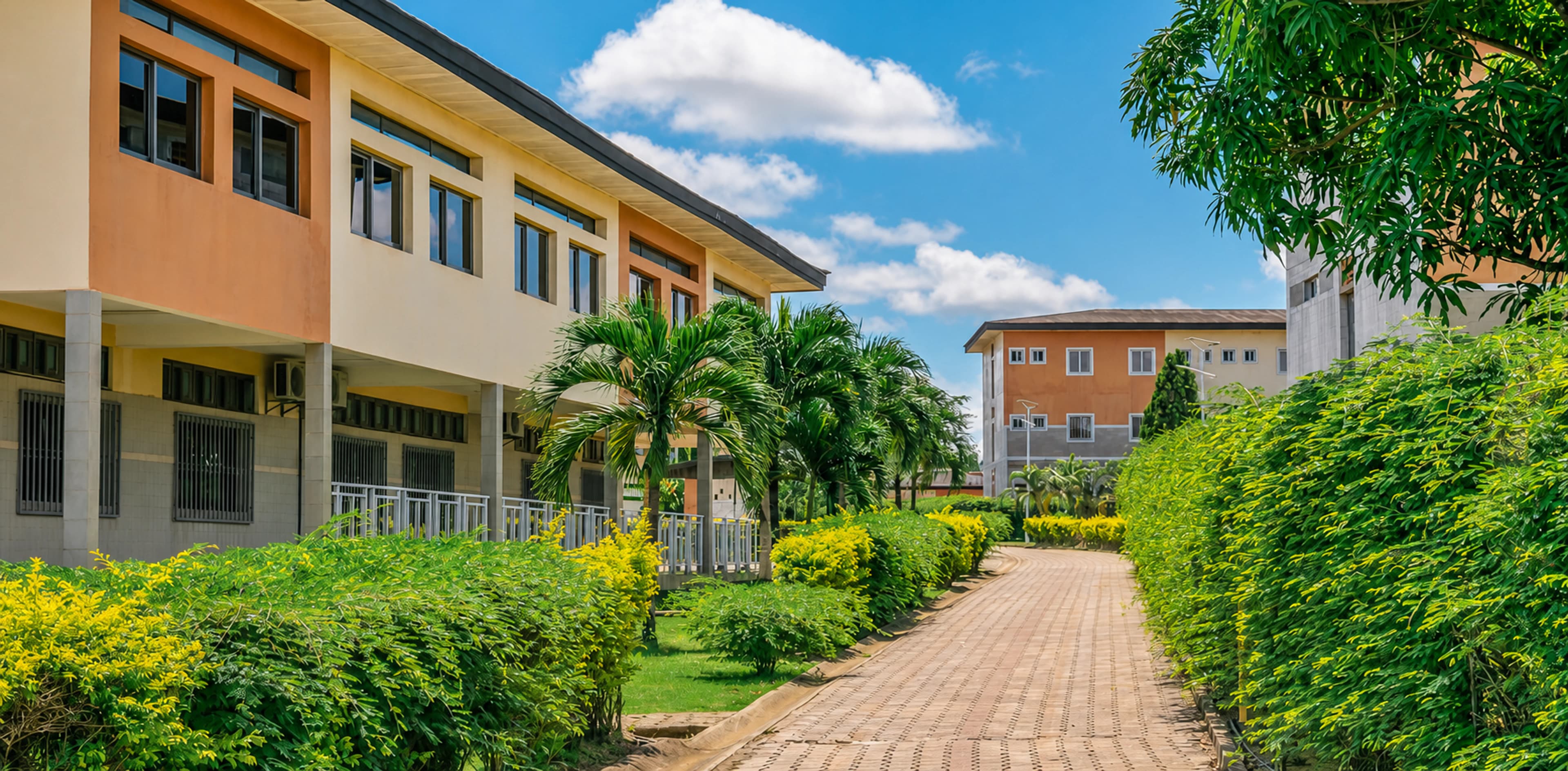 Allée paysagère entre les bâtiments du campus de l’Université Internationale de Libreville Berthe & Jean